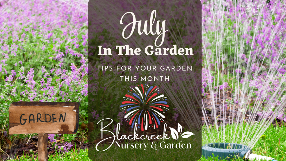 July In The Garden