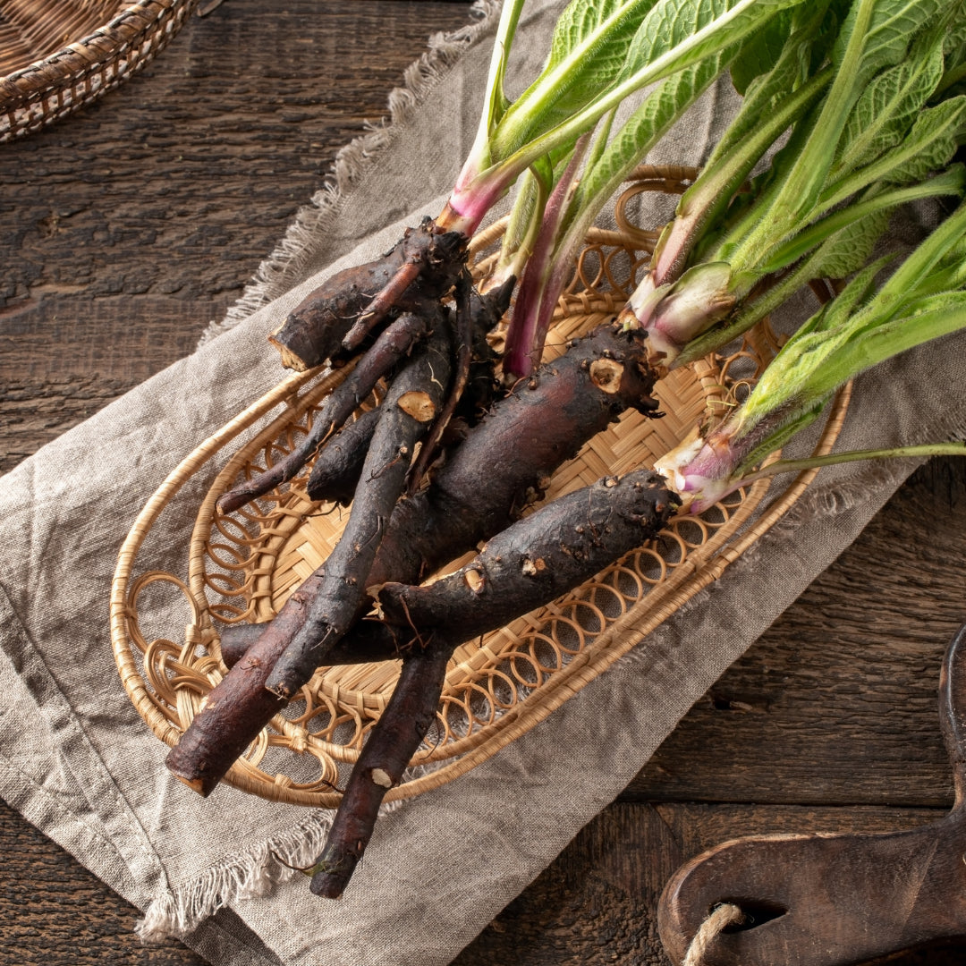 Comfrey Root Herb 1oz (28g)