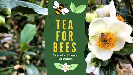 Bee's Tea  - Nature's Helper