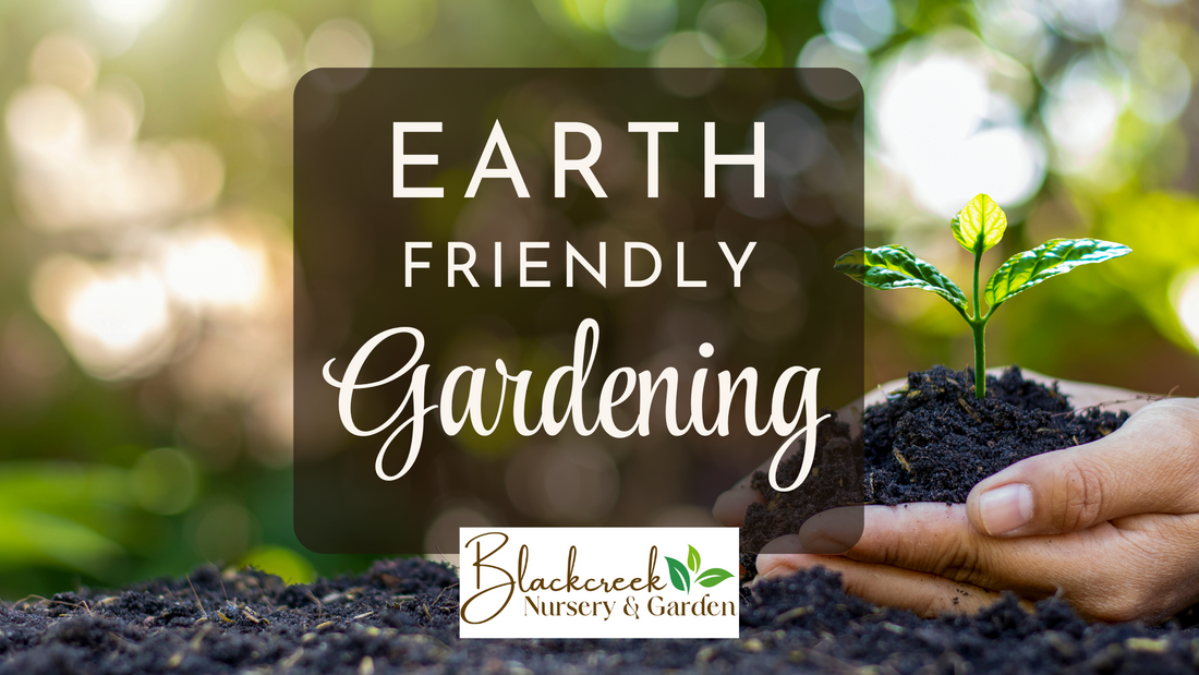 Creating an Earth-Friendly Garden