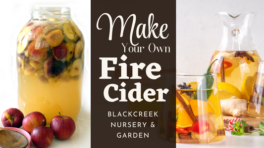 Making Your Own Fire Cider