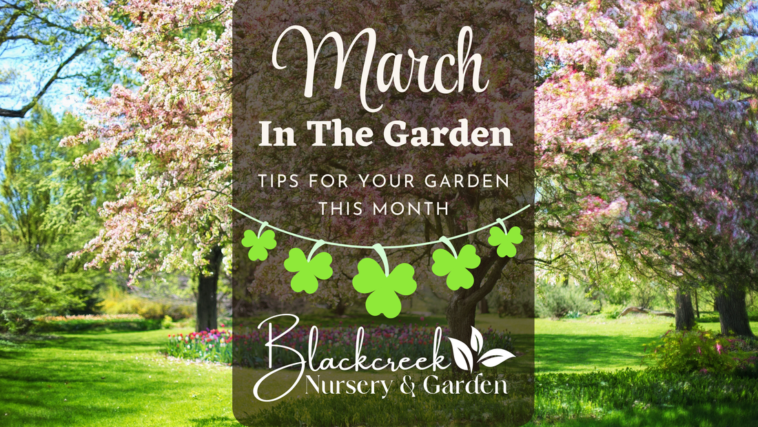 March In The Garden