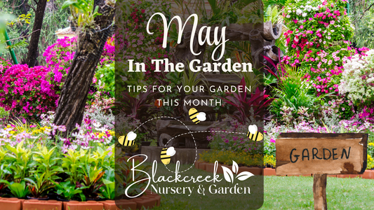 May In The Garden
