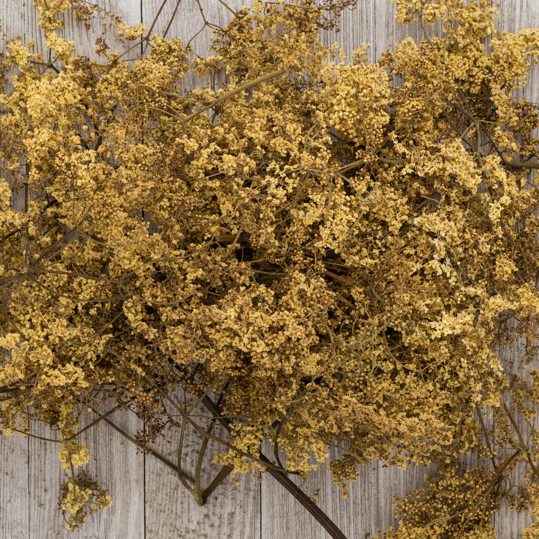 Elder Flower Herb 1oz (28g)