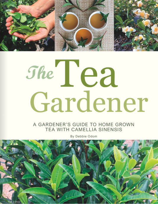 The Tea Gardener Book Paper Back