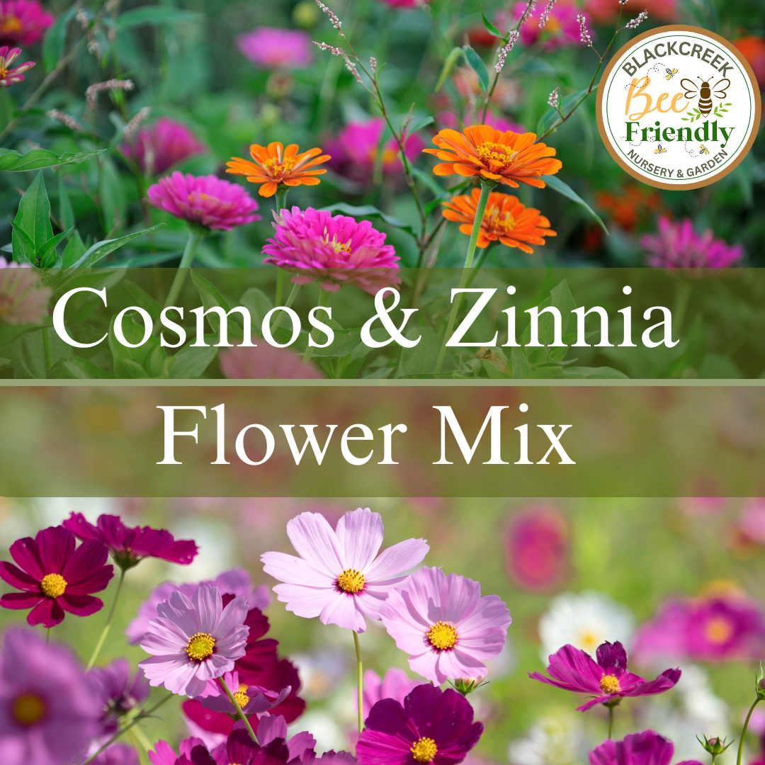 Cosmos Zinnia Pollinator Mix