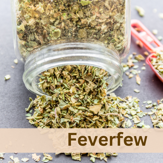 Fever Few Loose Herb 1oz Organic