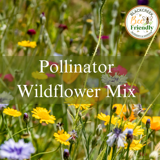 Perennial Wildflower Mix